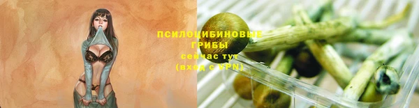 кристаллы Краснослободск