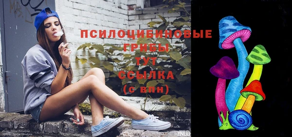 кристаллы Краснослободск